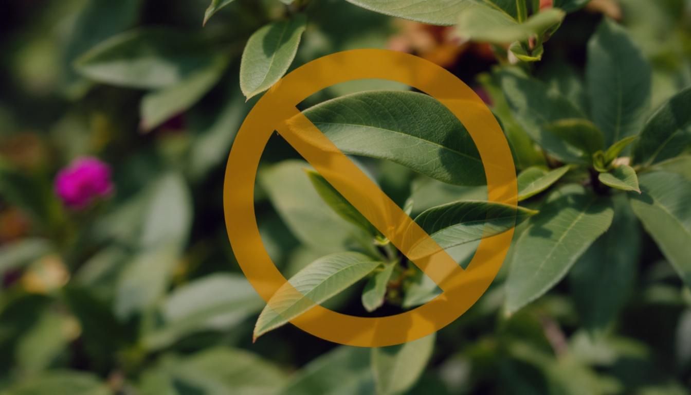 découvrez les bienfaits et les nombreuses utilisations de l'huile essentielle de tea tree pour améliorer votre bien-être au quotidien.