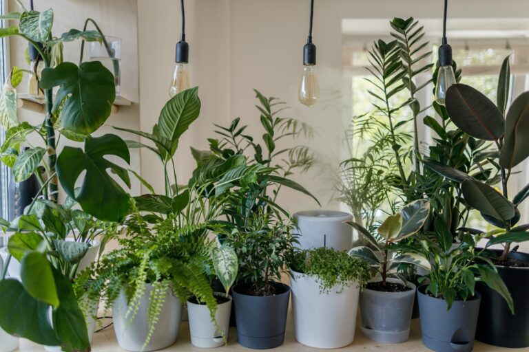 green plant in white ceramic pot