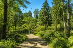 découvrez l'arboretum de nanterre, un havre de paix et de nature en plein cœur de la ville, idéal pour une escapade relaxante et la découverte de la biodiversité urbaine.