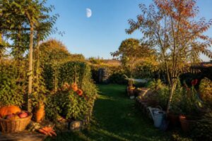 découvrez comment le calendrier lunaire d'octobre 2025 influence votre jardin ce mois-ci : conseils pour planter, tailler et récolter au rythme de la lune.