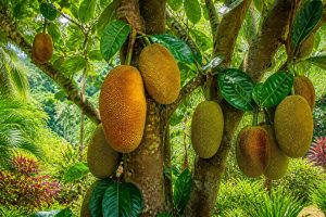 découvrez les bienfaits méconnus de l'artocarpus, l'arbre tropical aux fruits riches en vertus pour la santé et le bien-être.